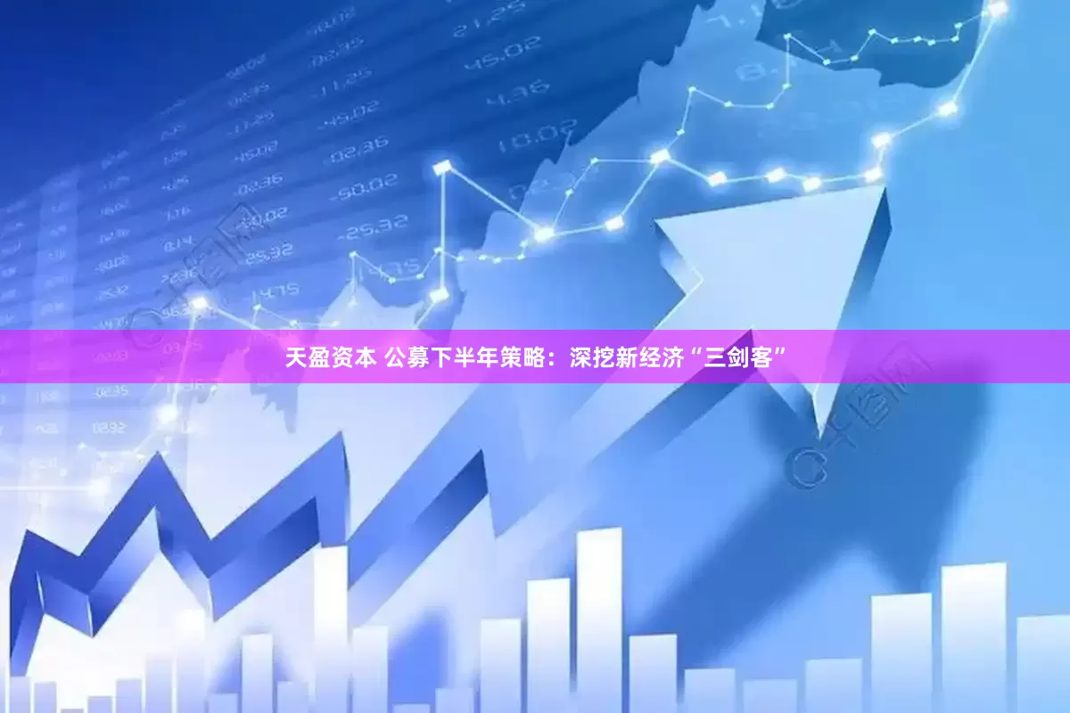 天盈资本 公募下半年策略：深挖新经济“三剑客”