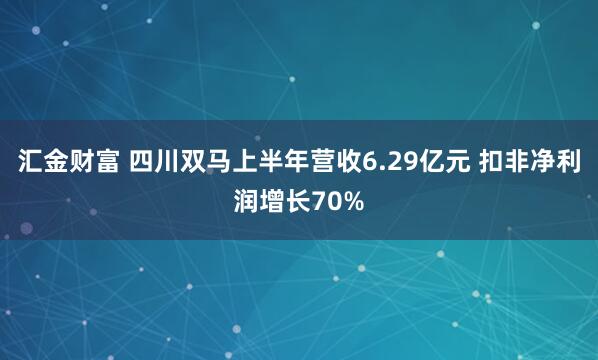汇金财富 四川双马上半年营收6.29亿元 扣非净利润增长70%