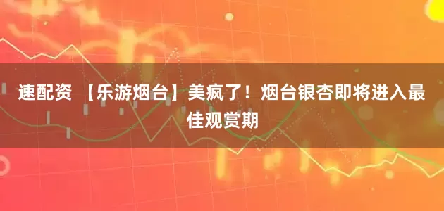 速配资 【乐游烟台】美疯了！烟台银杏即将进入最佳观赏期
