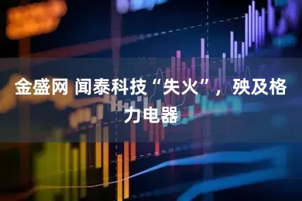 金盛网 闻泰科技“失火”，殃及格力电器