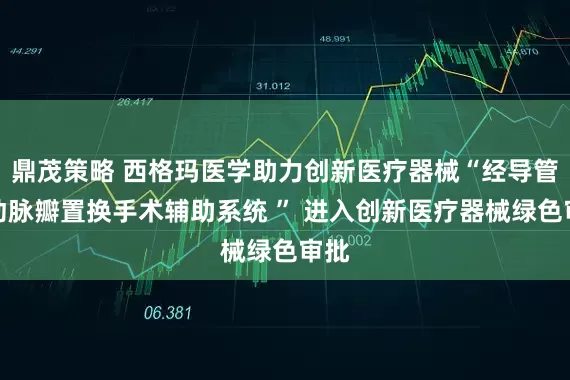鼎茂策略 西格玛医学助力创新医疗器械“经导管主动脉瓣置换手术辅助系统 ” 进入创新医疗器械绿色审批