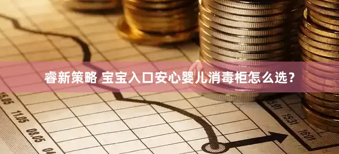 睿新策略 宝宝入口安心婴儿消毒柜怎么选？